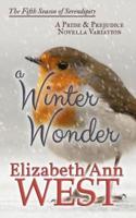 A Winter Wonder