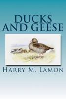 Ducks and Geese