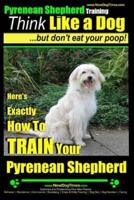 Pyrenean Shepherd Training Think Like a Dog But Don't Eat Your Poop!
