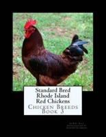 Standard Bred Rhode Island Red Chickens