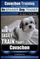 Cavachon Training Dog Training With the No BRAINER Dog TRAINER We Make It THAT Easy!