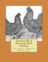 Standard-Bred Plymouth Rock Chickens