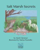 Salt Marsh Secrets