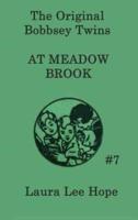 The Bobbsey Twins at Meadow Brook