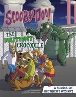 Scooby-Doo!, a Science of Electricity Mystery