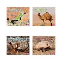 Meet Desert Animals