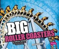 Big Roller Coasters