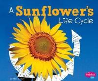 A Sunflower's Life Cycle