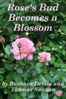 Rose's Bud Becomes a Blossom