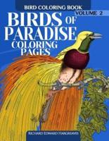 Birds of Paradise Coloring Pages - Bird Coloring Book