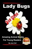 Lady Bugs - For Kids - Amazing Animal Books for Young Readers