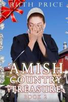 An Amish Country Treasure Book 2