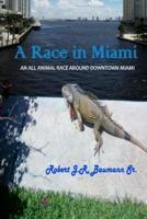 A Race in Miami