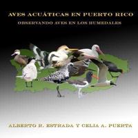 Aves Acuáticas En Puerto Rico