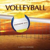 Volleyball Calendar 2016