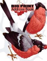 Big Print Address Book