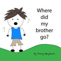 Where Did My Brother Go?