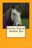 Festive Fun at Awelon TYN