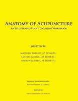 Anatomy of Acupuncture