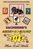 A Dachshund's Merry-Go-Round Life