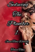 Seducing the Plumber 1