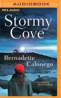 Stormy Cove