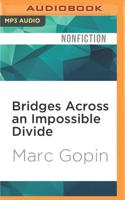 Bridges Across an Impossible Divide