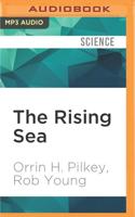 The Rising Sea