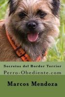 Secretos Del Border Terrier