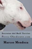 Secretos Del Bull Terrier