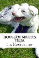 House of Misfits - Teija