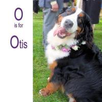 O Is for Otis