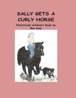Sally Gets a Curly Horse