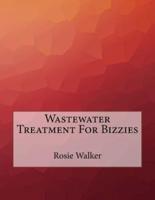 Wastewater Treatment for Bizzies