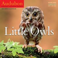 Audubon Little Owls Mini Wall Calendar 2019