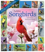 Audubon Songbirds and Other Backyard Birds Picture-A-Day Wall Calendar 2022