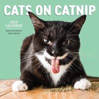 Cats on Catnip Wall Calendar 2022