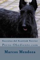 Secretos Del Scottish Terrier