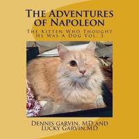 The Adventures of Napoleon
