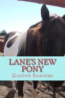 Lane's New Pony
