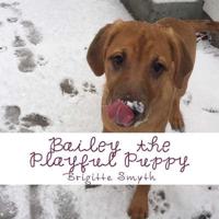 Bailey The Playful Puppy Picture Book