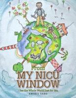 From My Nicu Window: I See the Whole World Just for Me
