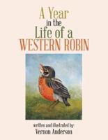 A Year in the Life of a Western Robin