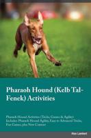 Pharaoh Hound Kelb Tal-Fenek Activities Pharaoh Hound Activities (Tricks, Games & Agility) Includes: Pharaoh Hound Agility, Easy to Advanced Tricks, Fun Games, plus New Content