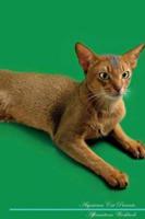 Abyssinian Cat Affirmations Workbook Abyssinian Cat Presents: Positive and Loving Affirmations Workbook. Includes: Mentoring Questions, Guidance, Supporting You.