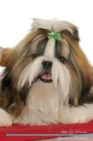 Shih Tzu Affirmations Workbook Shih Tzu Presents