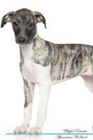 Whippet Affirmations Workbook Whippet Presents
