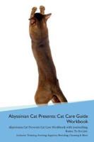 Abyssinian Cat Presents