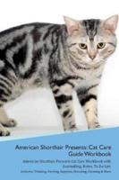 American Shorthair Cat Presents