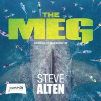 The MEG